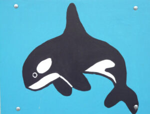 animal-biology-mammal-paint-cheerful-figure-1151703-pxhere.com 1-2