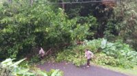 IMG-20250629-WA0057