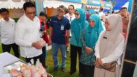 INIKLIK.ID, PEMPROV SULSEL,